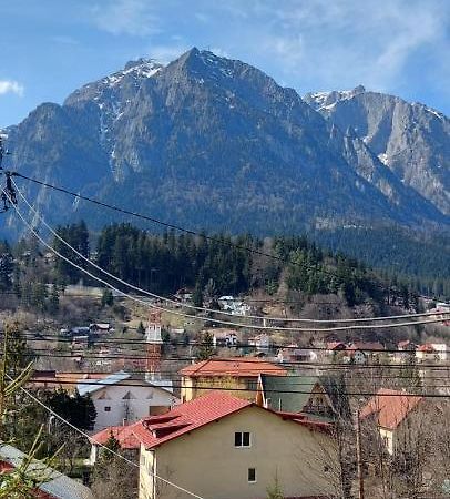 BuşteniMountain View公寓 外观 照片