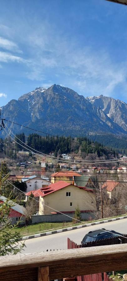 BuşteniMountain View公寓 外观 照片