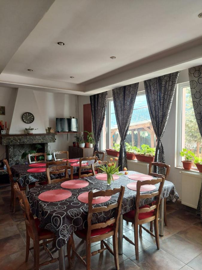 BuşteniMountain View公寓 外观 照片