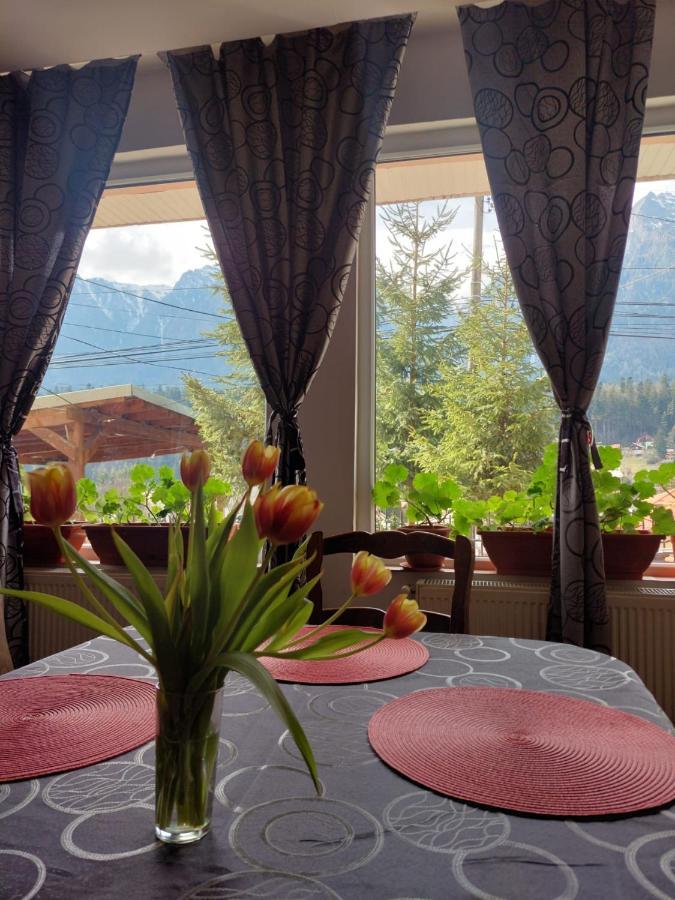 BuşteniMountain View公寓 外观 照片