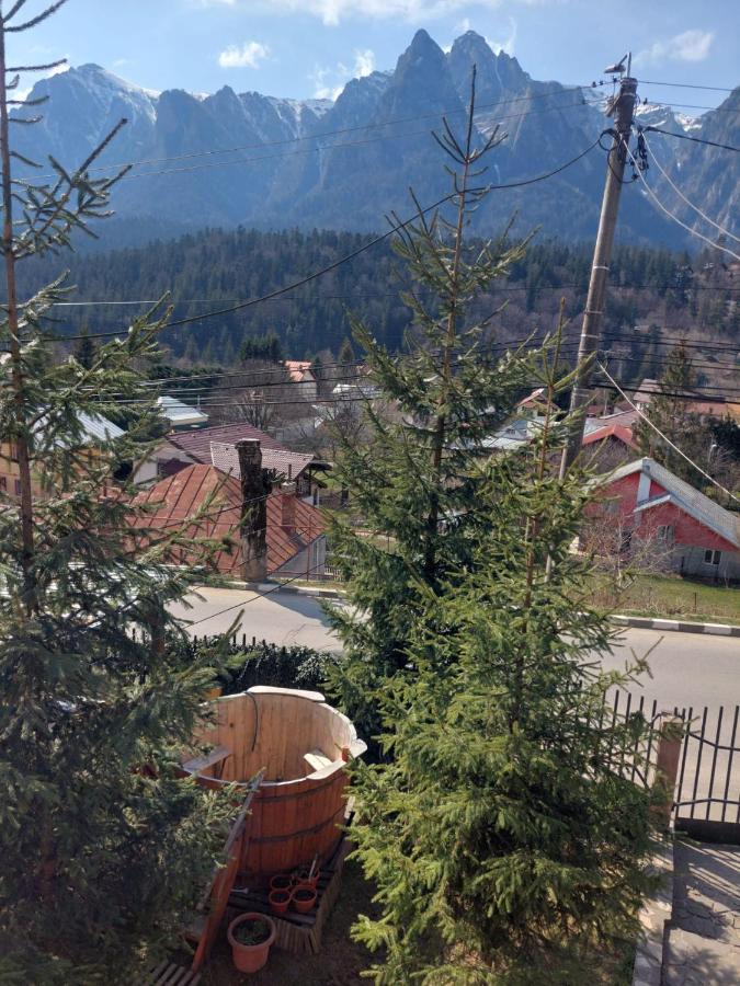 BuşteniMountain View公寓 外观 照片
