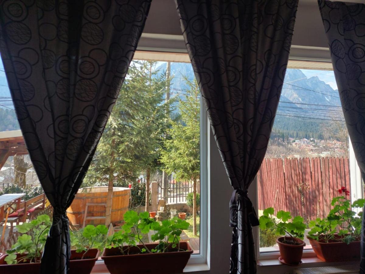 BuşteniMountain View公寓 外观 照片