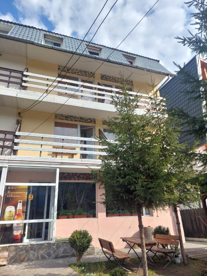 BuşteniMountain View公寓 外观 照片