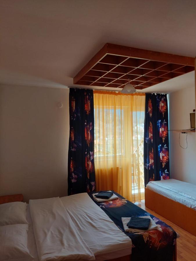 BuşteniMountain View公寓 外观 照片